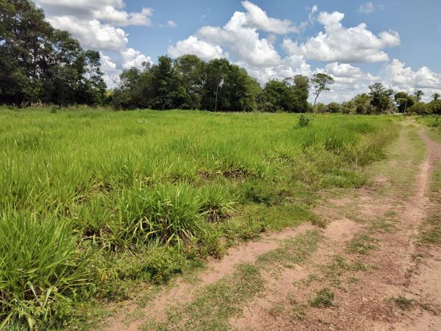 #18 - Sítio para Venda em Cuiabá - MT