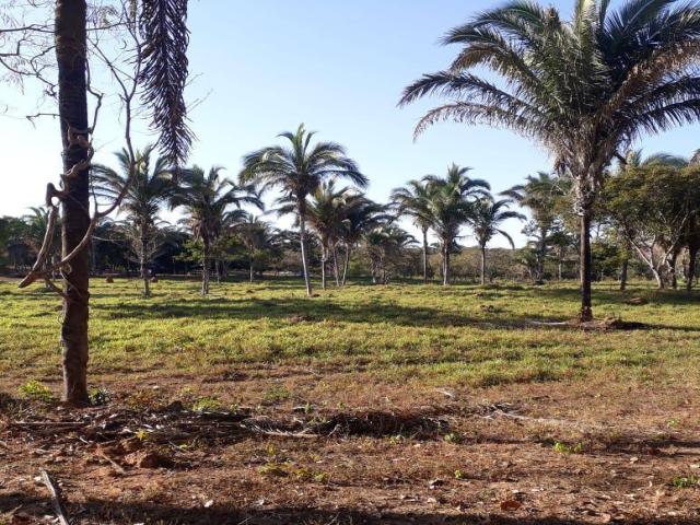 #23 - Fazenda para Venda em Cuiabá - MT - 2