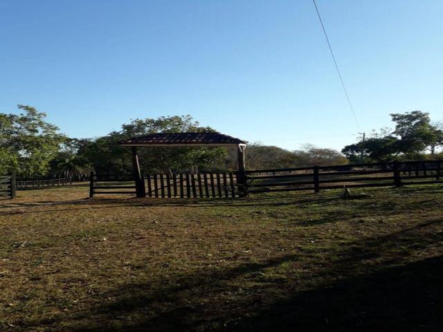 #23 - Fazenda para Venda em Cuiabá - MT - 1