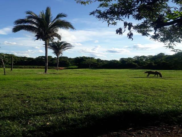 #23 - Fazenda para Venda em Cuiabá - MT - 3